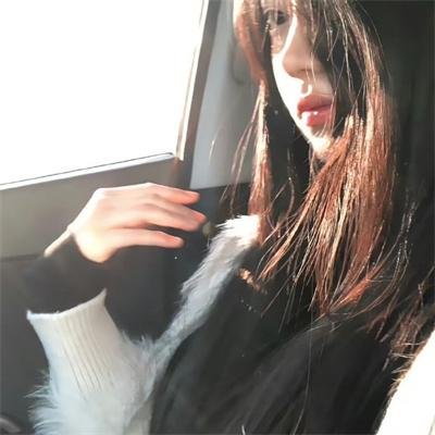 好莱坞骑士