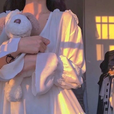 布拉多