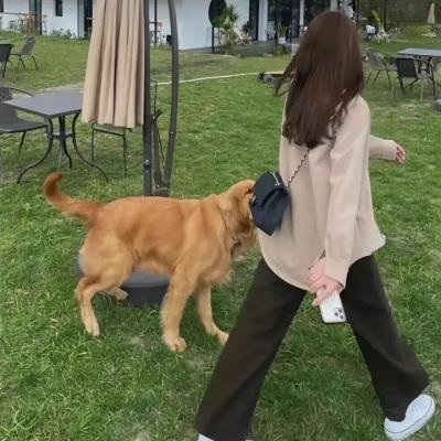 托尼·厄德曼