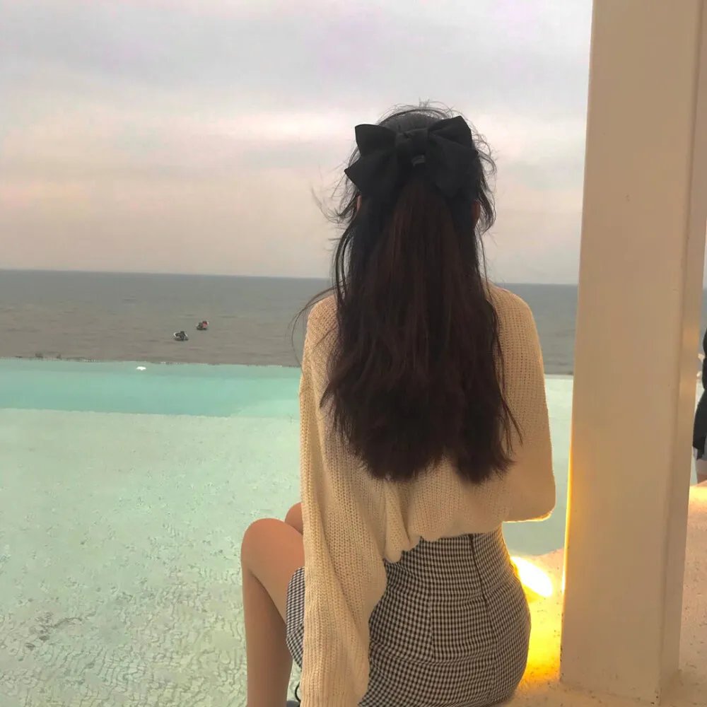 顽皮豹之子